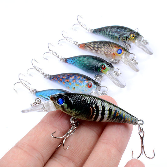 Largemouth Bass Lures – The Tackle Traders
